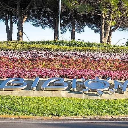 Family-friendly In A Quiet And Location *